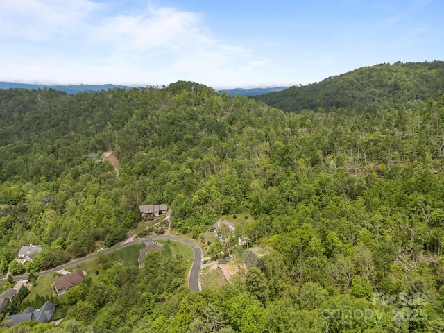 46 Hawtree Ct Unit 255, Weaverville, NC 28787