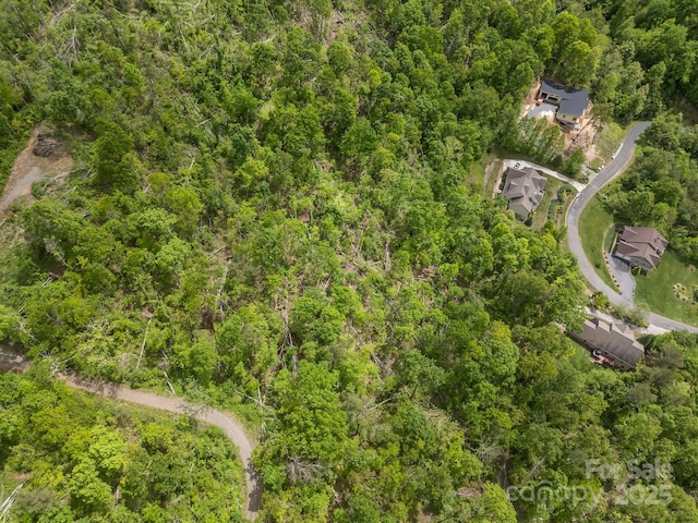 46 Hawtree Ct Unit 255, Weaverville, NC 28787