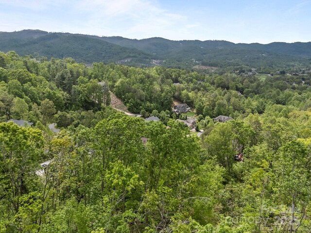 46 Hawtree Ct Unit 255, Weaverville, NC 28787