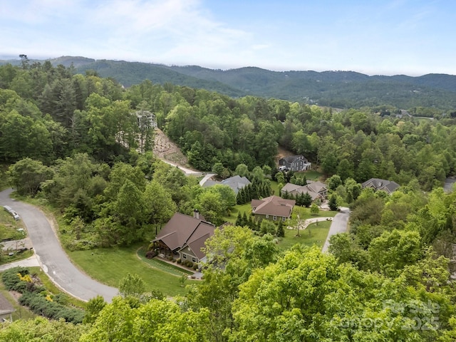 46 Hawtree Ct Unit 255, Weaverville, NC 28787