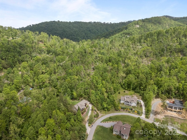 46 Hawtree Ct Unit 255, Weaverville, NC 28787