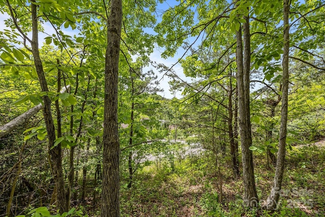 46 Hawtree Ct Unit 255, Weaverville, NC 28787
