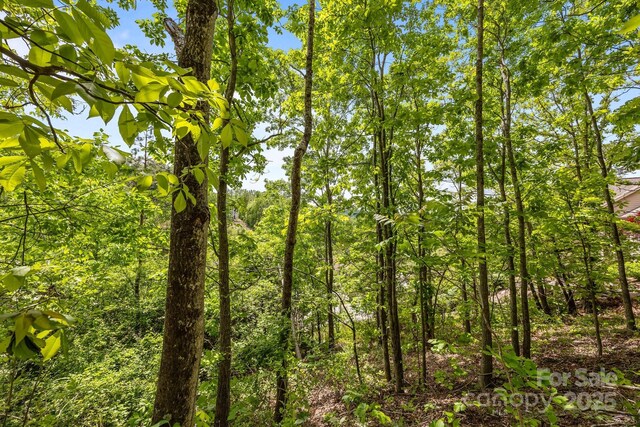 46 Hawtree Ct Unit 255, Weaverville, NC 28787