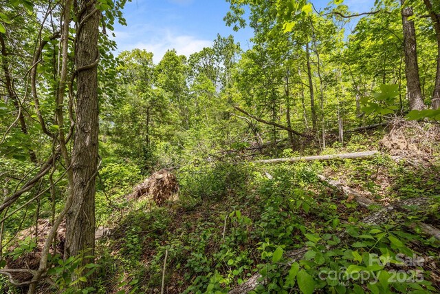 46 Hawtree Ct Unit 255, Weaverville, NC 28787