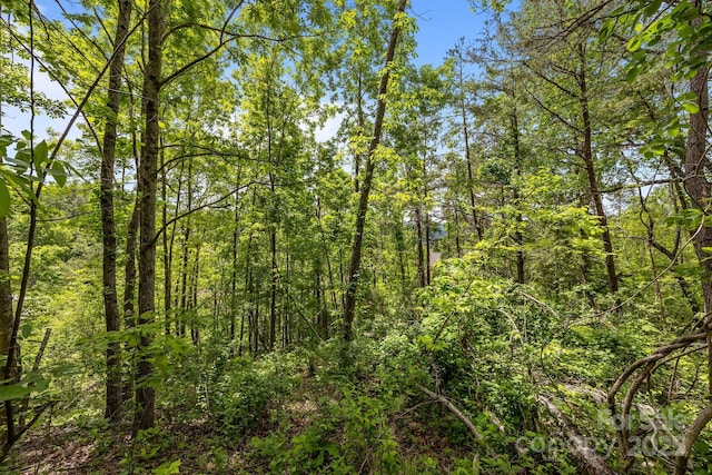 46 Hawtree Ct Unit 255, Weaverville, NC 28787