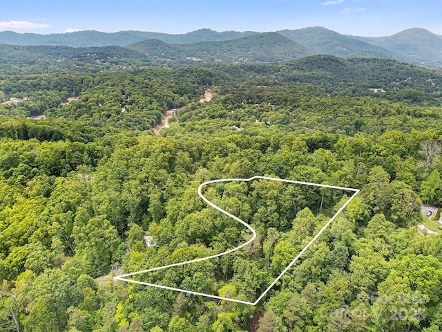 9999 Small Mountain Dr, Asheville, NC 28805 - photo 1