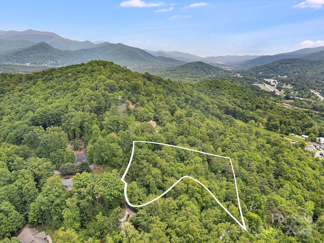 9999 Small Mountain Dr, Asheville, NC 28805 - photo 2