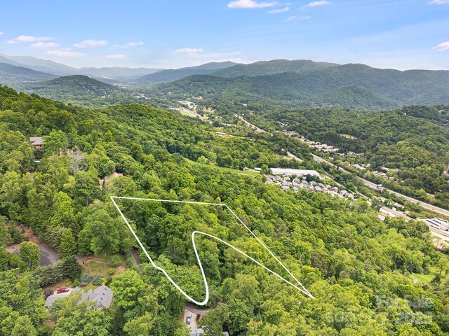 9999 Small Mountain Dr, Asheville, NC 28805 - photo 3