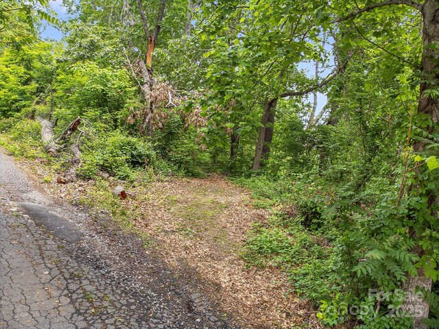 9999 Small Mountain Dr, Asheville, NC 28805 - photo 5