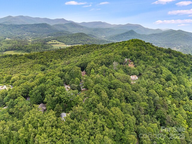 9999 Small Mountain Dr, Asheville, NC 28805 - photo 7
