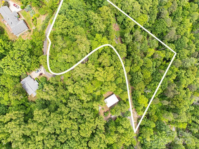 9999 Small Mountain Dr, Asheville, NC 28805 - photo 8