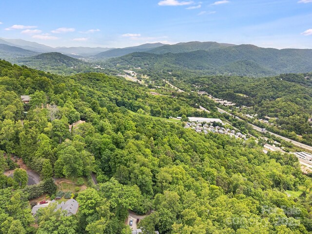 9999 Small Mountain Dr, Asheville, NC 28805 - photo 9