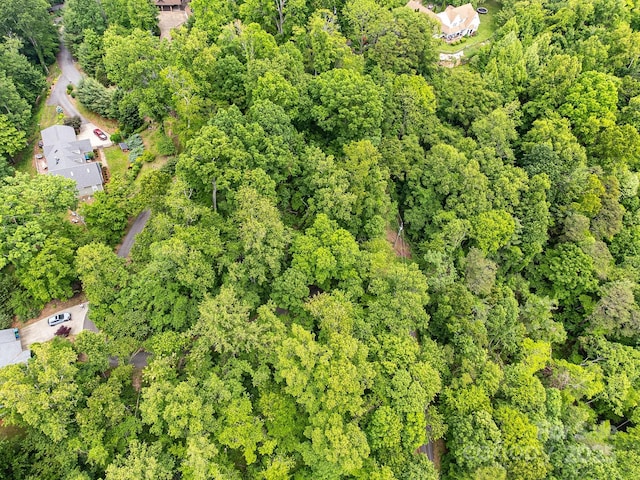 9999 Small Mountain Dr, Asheville, NC 28805 - photo 10