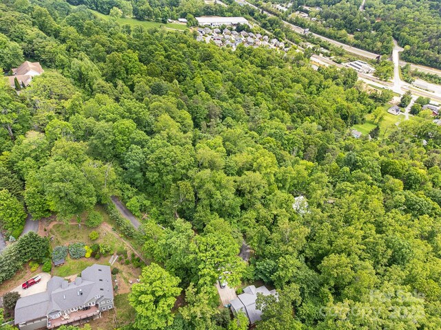 9999 Small Mountain Dr, Asheville, NC 28805 - photo 11