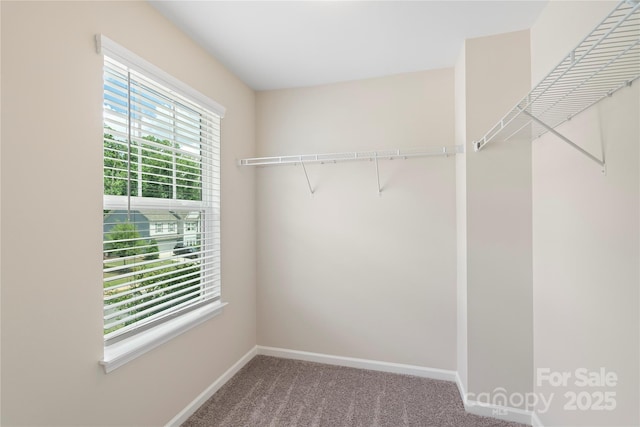 3211 Gilroy Dr, Fort Mill, SC 29707 - spacious closet featuring carpet floors
