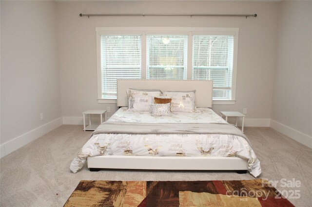 1727 Grace Ln, Charlotte, NC 28262 - photo 13