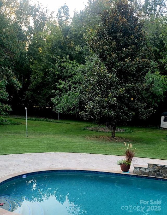 4001 Carmel Acres Dr, Charlotte, NC 28226 - swimming pool with a lawn