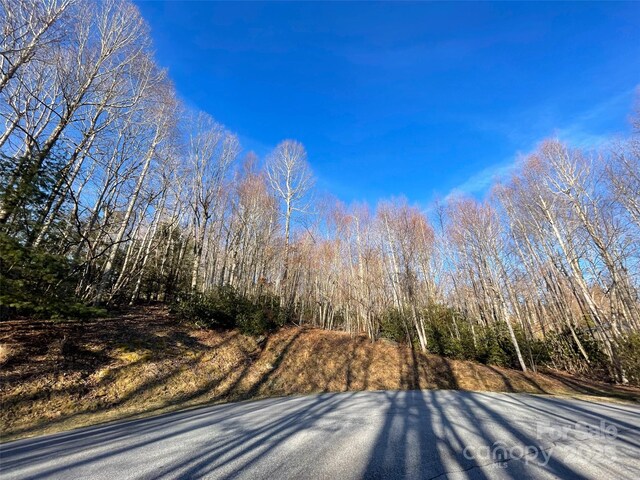 000 Hardwood Smt Unit 191, Hendersonville, NC 28739 - photo 2