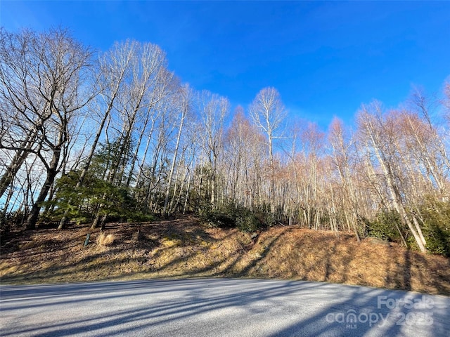 000 Hardwood Smt Unit 191, Hendersonville, NC 28739 - photo 3