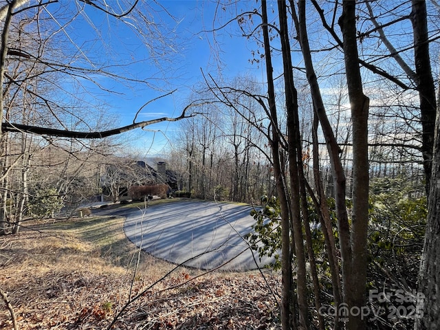 000 Hardwood Smt Unit 191, Hendersonville, NC 28739 - photo 4