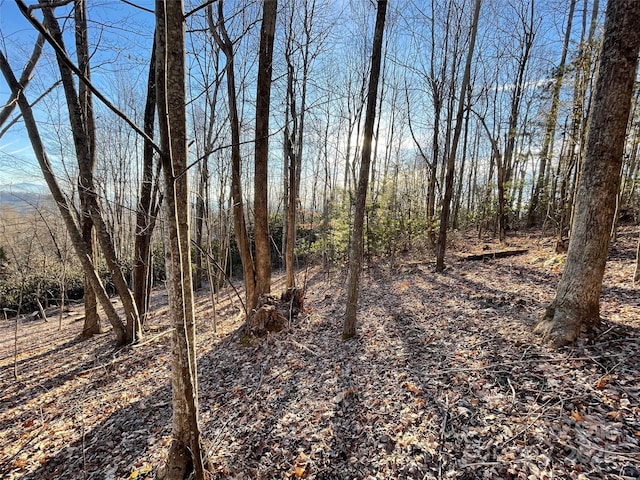 000 Hardwood Smt Unit 191, Hendersonville, NC 28739 - photo 14