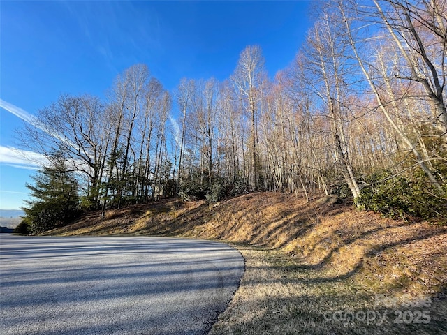 000 Hardwood Smt Unit 191, Hendersonville, NC 28739 - photo 15