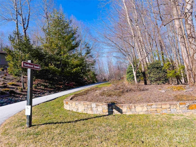 000 Hardwood Smt Unit 191, Hendersonville, NC 28739 - photo 16