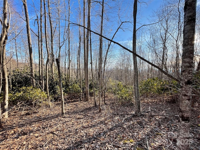000 Hardwood Smt Unit 191, Hendersonville, NC 28739 - photo 9