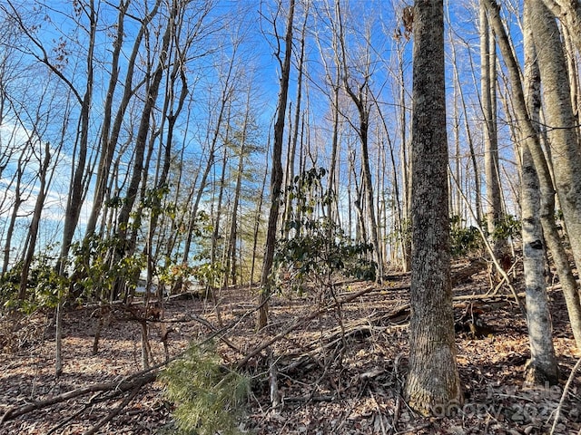 000 Hardwood Smt Unit 191, Hendersonville, NC 28739 - photo 10