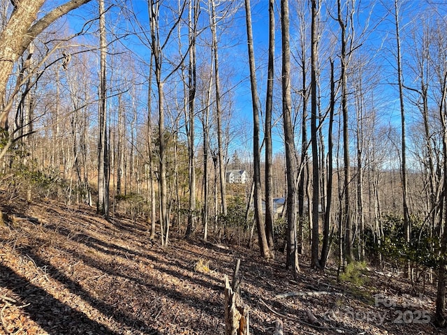 000 Hardwood Smt Unit 191, Hendersonville, NC 28739 - photo 11