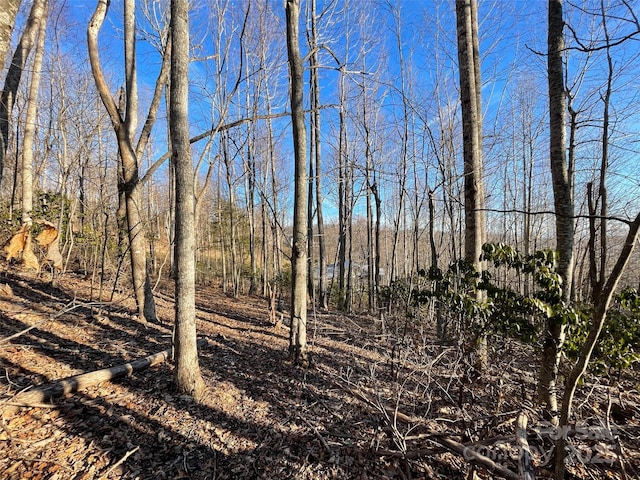 000 Hardwood Smt Unit 191, Hendersonville, NC 28739 - photo 12
