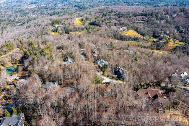 000 Hardwood Smt Unit 191, Hendersonville, NC 28739 - photo 8
