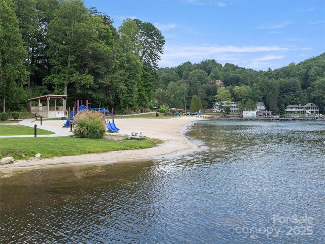 water view featuring a forest