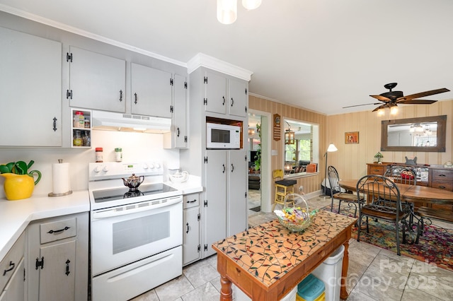 1115 Grovewood Dr, Charlotte, NC 28208 - kitchen featuring white appliances, under cabinet range hood, ornamental molding, light countertops, and a ceiling fan