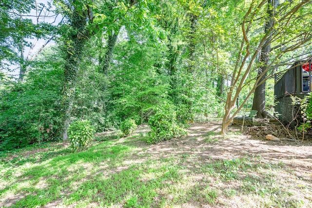 1115 Grovewood Dr, Charlotte, NC 28208 - view of yard