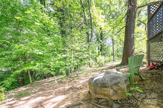 1115 Grovewood Dr, Charlotte, NC 28208 - view of undeveloped land