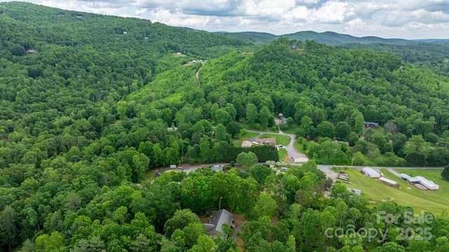 3763 Laurel Heights Dr, Morganton, NC 28655 - bird's eye view of a heavily wooded area and a mountain backdrop