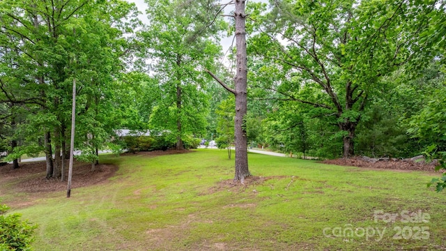 3763 Laurel Heights Dr, Morganton, NC 28655 - view of green lawn