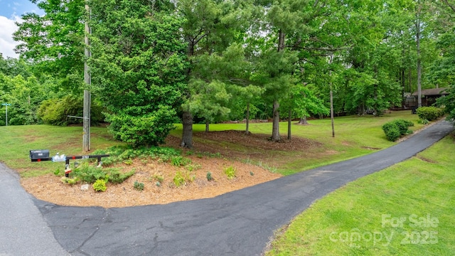 3763 Laurel Heights Dr, Morganton, NC 28655 - view of community featuring a lawn