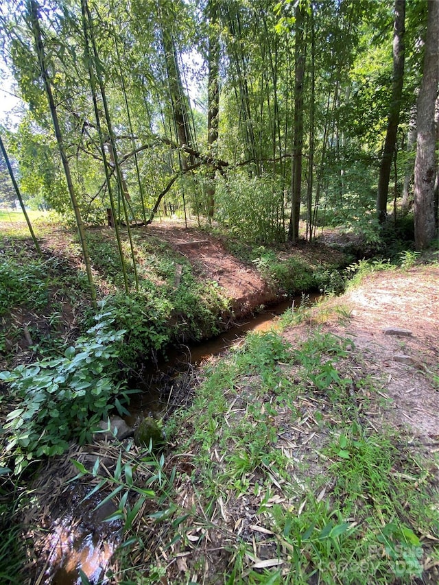 660 Pinehurst Rd, Ellenboro, NC 28040 - view of local wilderness