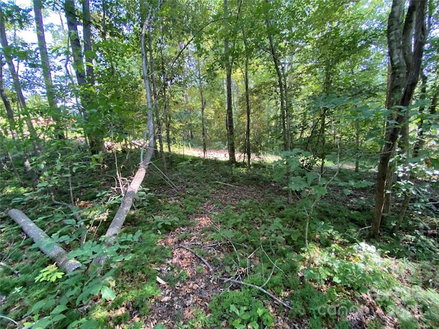 660 Pinehurst Rd, Ellenboro, NC 28040 - view of tree filled area