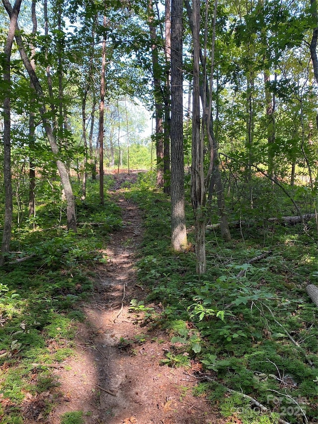 660 Pinehurst Rd, Ellenboro, NC 28040 - view of undeveloped land