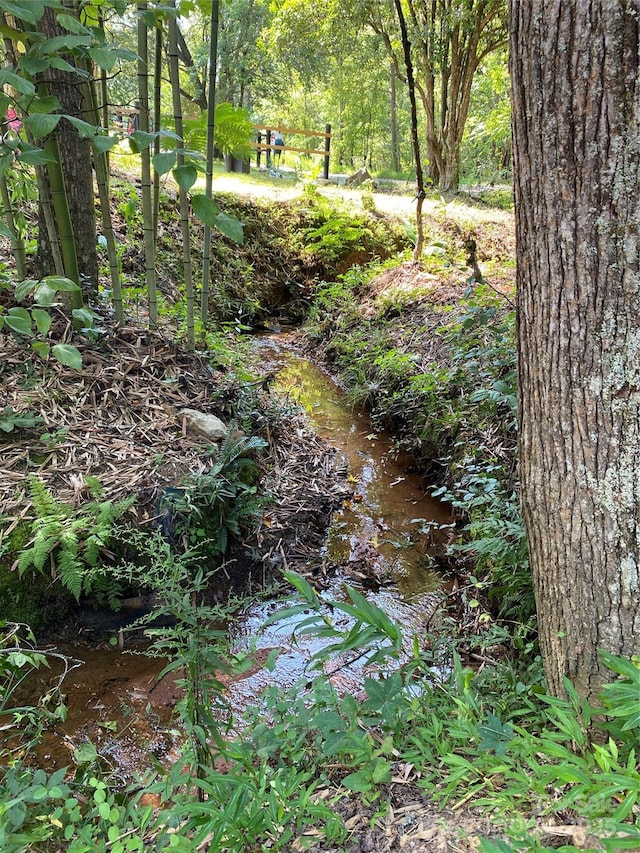 660 Pinehurst Rd, Ellenboro, NC 28040 - view of nature
