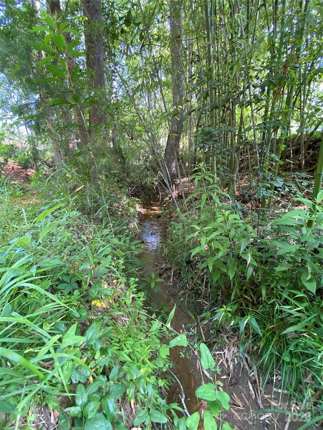 660 Pinehurst Rd, Ellenboro, NC 28040 - view of nature