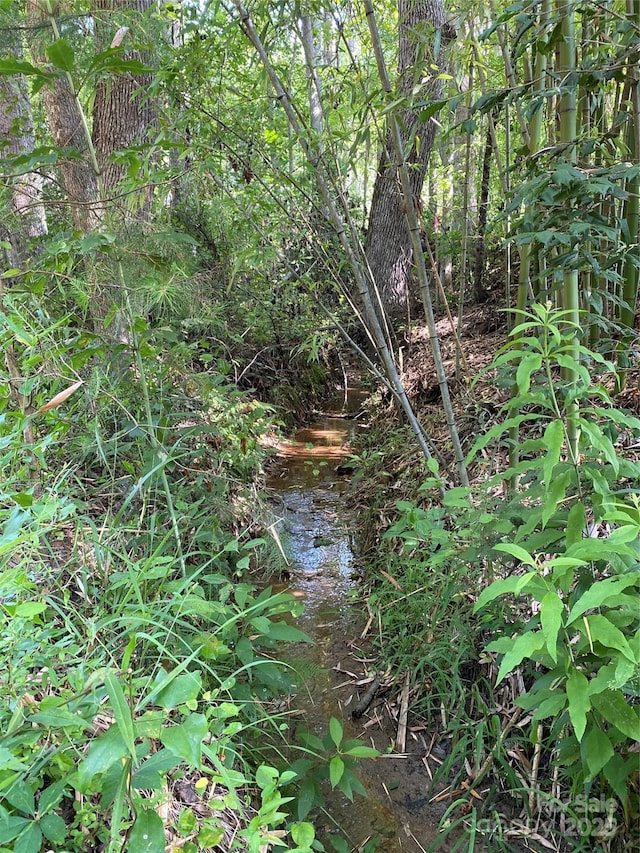 660 Pinehurst Rd, Ellenboro, NC 28040 - view of nature