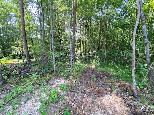 660 Pinehurst Rd, Ellenboro, NC 28040 - view of local wilderness