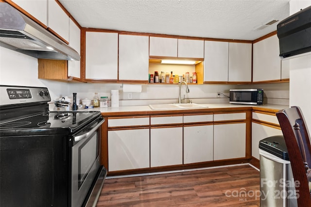 kitchen featuring appliances with stainless steel finishes, under cabinet range hood, a sink, dark wood-style floors, and light countertops
