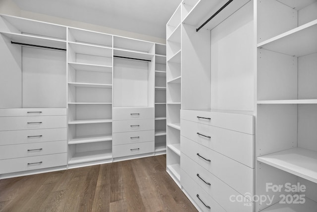 1408 Bloomsberry Ln, Waxhaw, NC 28173 - spacious closet with dark wood-style floors