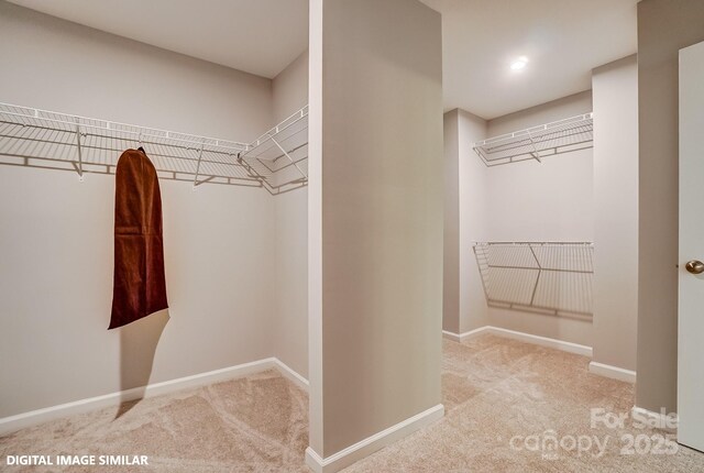 walk in closet featuring carpet