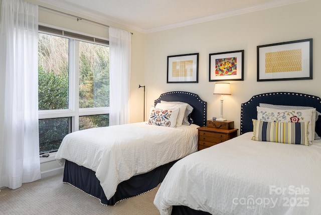 501 Candlewood Ln, Flat Rock, NC 28731 - photo 29